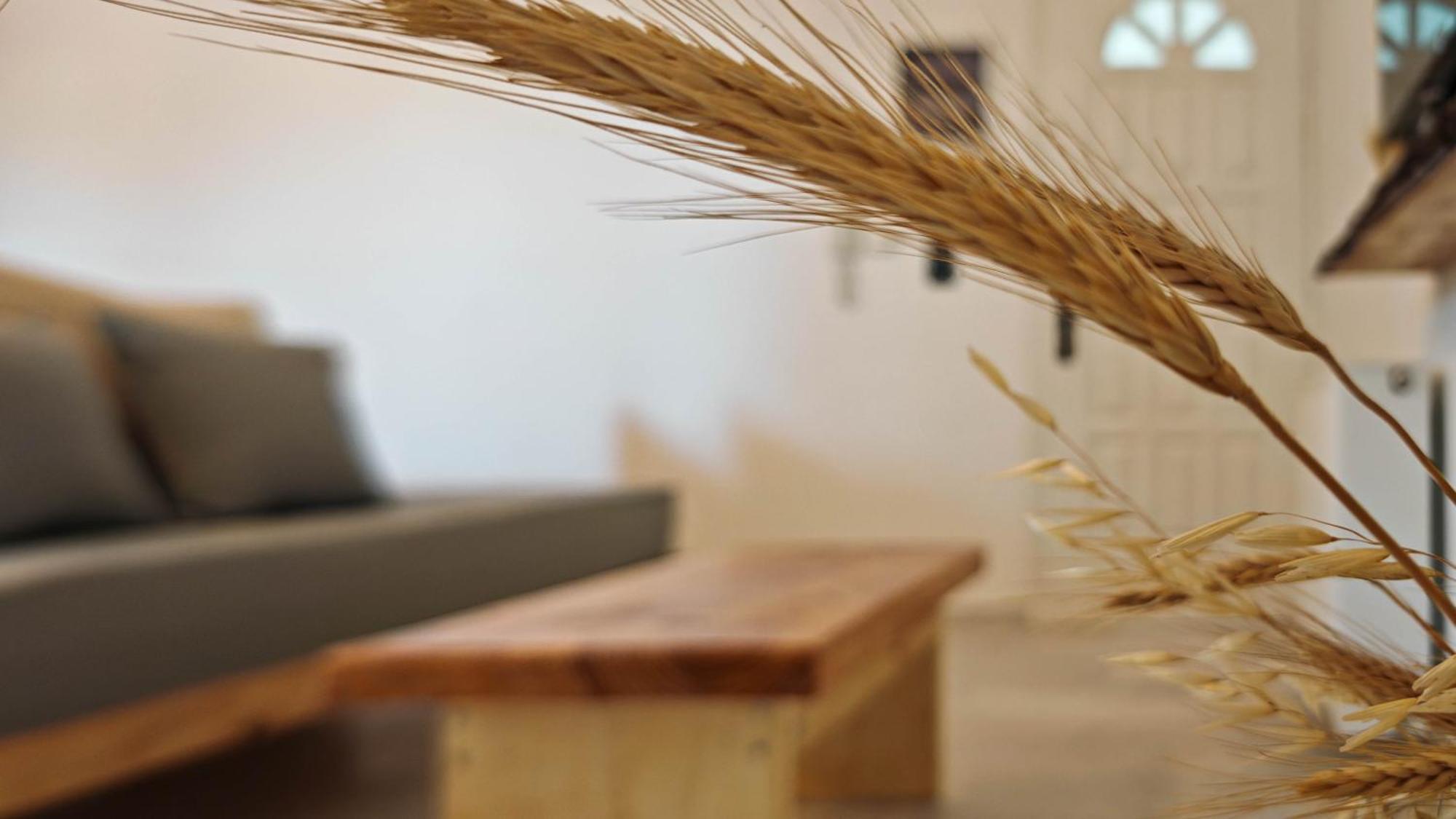 Paraga Suites Naxos City Екстериор снимка